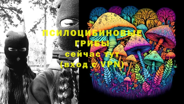 стаф Железногорск-Илимский