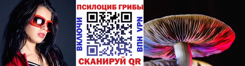 Галлюциногенные грибы прущие грибы  Галич 