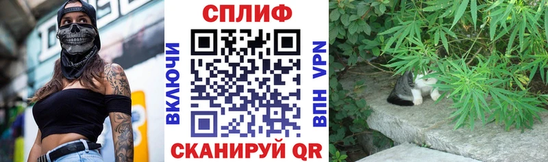 Бошки Шишки White Widow Галич